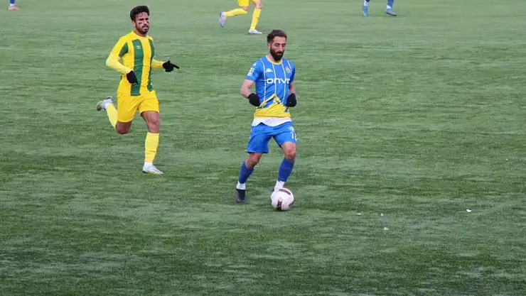 Ağrı evinde fırsat tepti