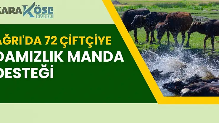 Ağrı'da 72 Çiftçiye Damızlık Manda Desteği
