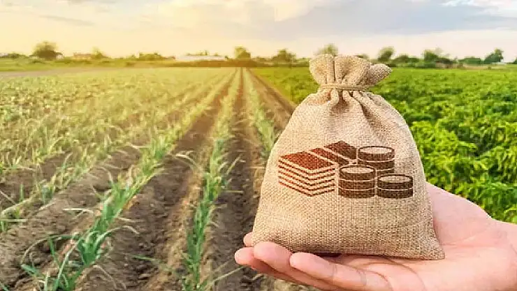 Çiftçilere Müjde! %75 Bakanlık Desteğiyle Tohum Desteği Başladı!