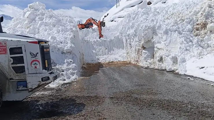 Dağlıca yolu düşen çığ sonucu kapandı