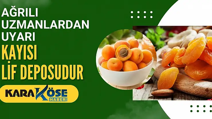 Ağrılı uzmanlardan uyarı: Kayısı Lif Deposudur