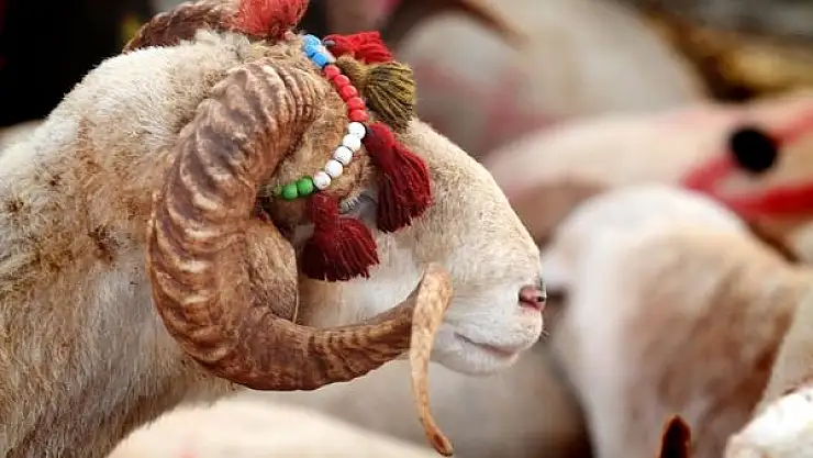 Rüyada adak kesmek ne anlama gelir?