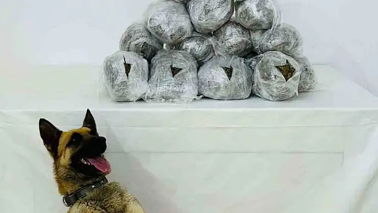 8 kilo Kubar Esrar ele geçirildi