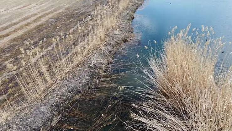 Ağrı Dağı Milli Parkı'nda tehlike büyüyor