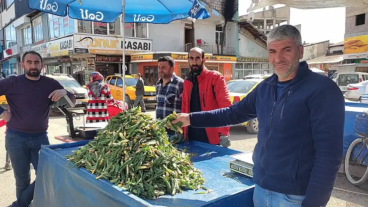 İlkbaharın habercisi Gulik satılmaya başlandı