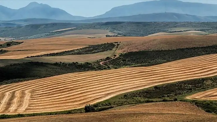 Ağrı'da Ucuz Arsa Satışı Yapılacak