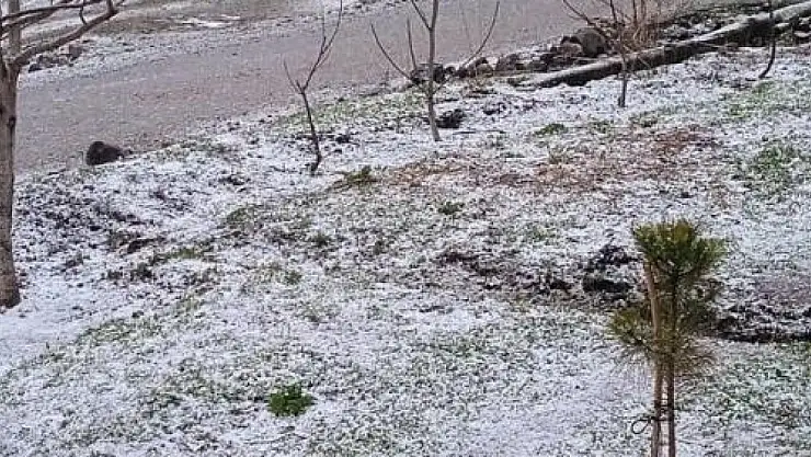 Iğdır'a dolu yağdı