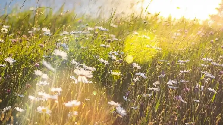9 NİSAN HAVA DURUMU I 9 Nisan'da İstanbul, İzmir, Ankara hava nasıl olacak?