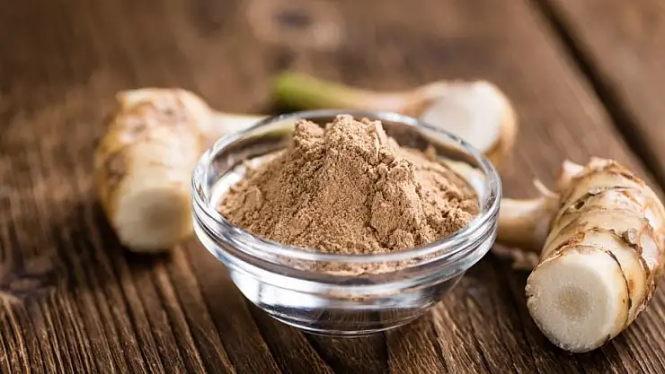 Havlıcan otu nedir, neye iyi gelir?