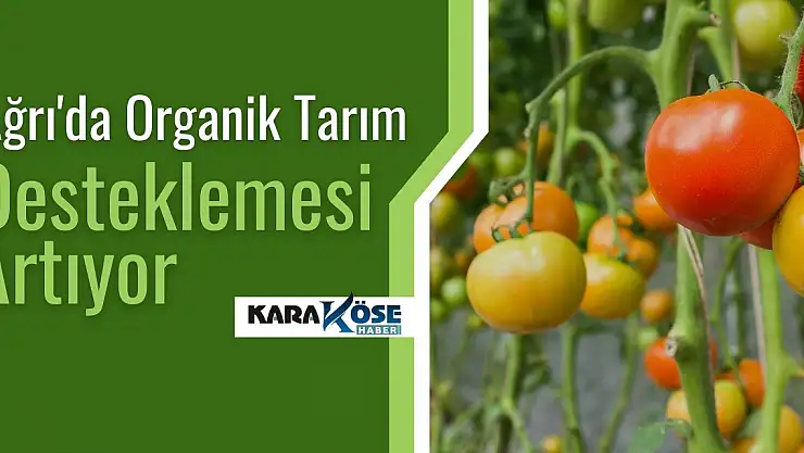 Ağrı'da Organik Tarım Desteklemesi Artıyor