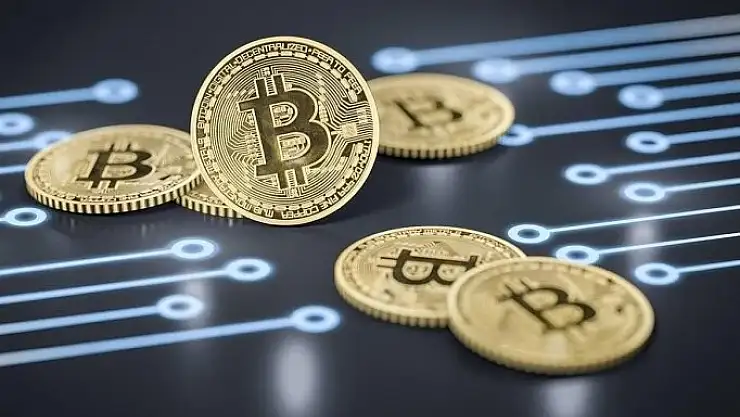 Kripto Paralar ve Altcoinler Neden Düşüyor, Düştü? 2024