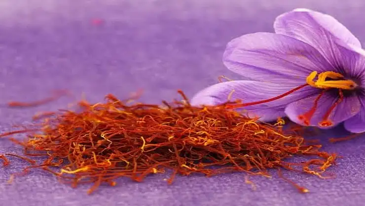 Doğanın Değerli Hazinesi Safran Neden Pahalı?