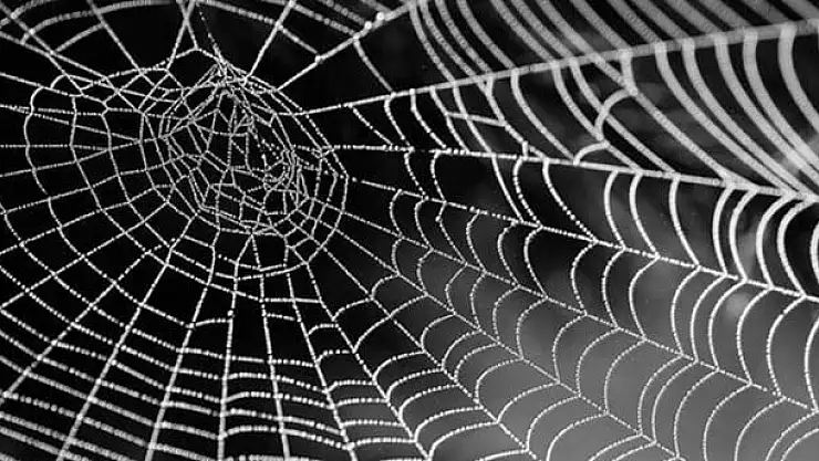 Rüyada örümcek ağı görmek ne demek?