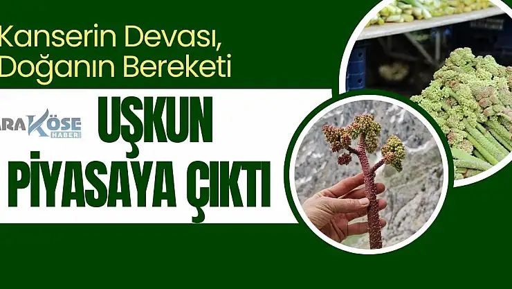 Kanserin Devası, Doğanın Bereketi: Uşkun Piyasaya Çıktı