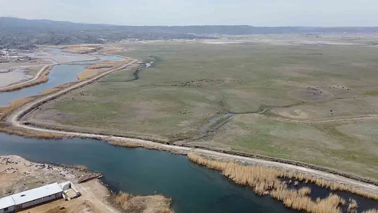 Ağrı Dağı Milli Parkı yaban hayvanlarına ev sahipliği yapıyor