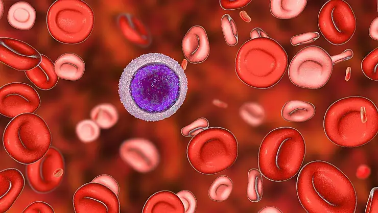 Hemofili nedir, belirtileri nelerdir?