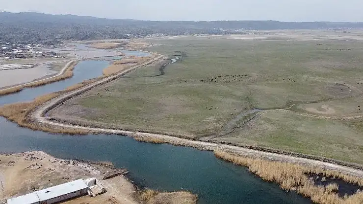 Ağrı Dağı Milli Parkı'ndaki Doğal Yaşamın Büyüleyici Görüntüleri