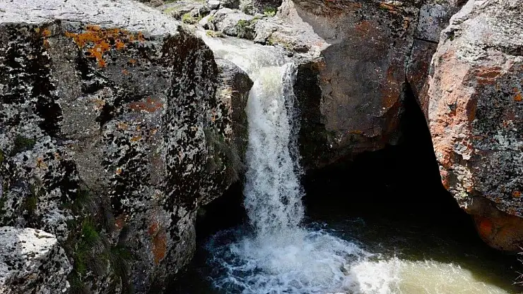 Ağrı'nın Doğası: Yeşilin Tonlarıyla Diriliş