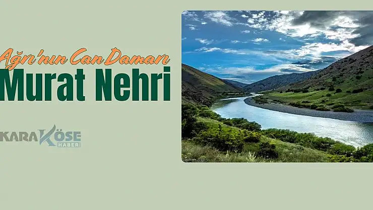 Ağrı'nın Can Damarı: Murat Nehri