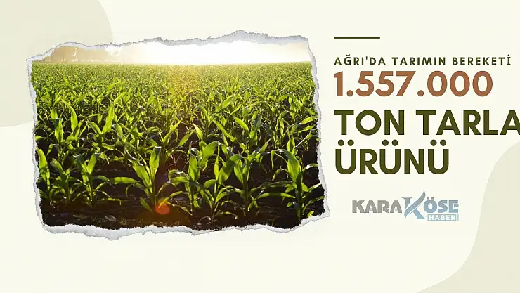 Ağrı'da Tarımın Bereketi: 1.557.000 Ton Tarla Ürünü