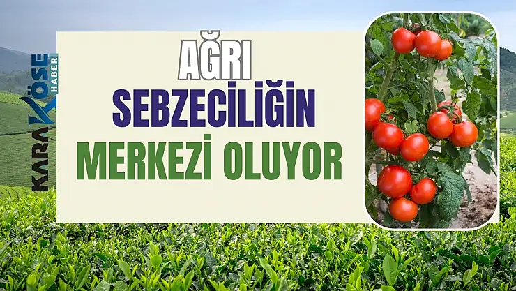 Ağrı Sebzeciliğin Merkezi Oluyor