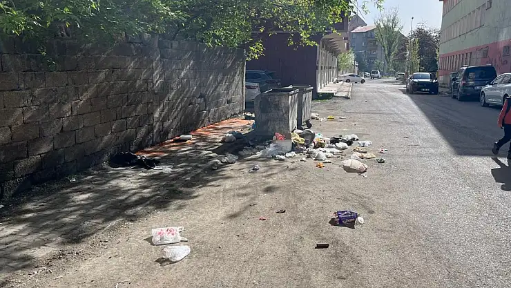 Ağrı Belediyesi'nin başı çöp toplayıcılar ile belada