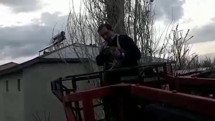 Ağaçta mahsur kalan kediyi itfaiye ekibi kurtardı