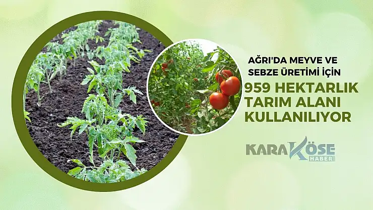 Ağrı'da Meyve ve Sebze Üretimi İçin 959 Hektarlık Tarım Alanı Kullanılıyor