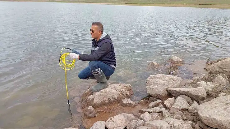 Balık ölümleri araştırılıyor