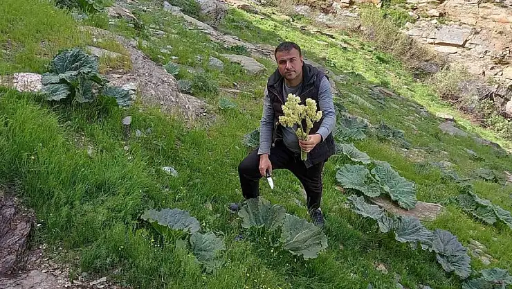 Işkın için dağları taşları aşıyorlar