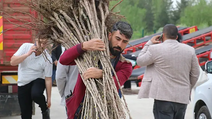 Ağrı'da çiftçilere 28 bin 800 fidan dağıtıldı