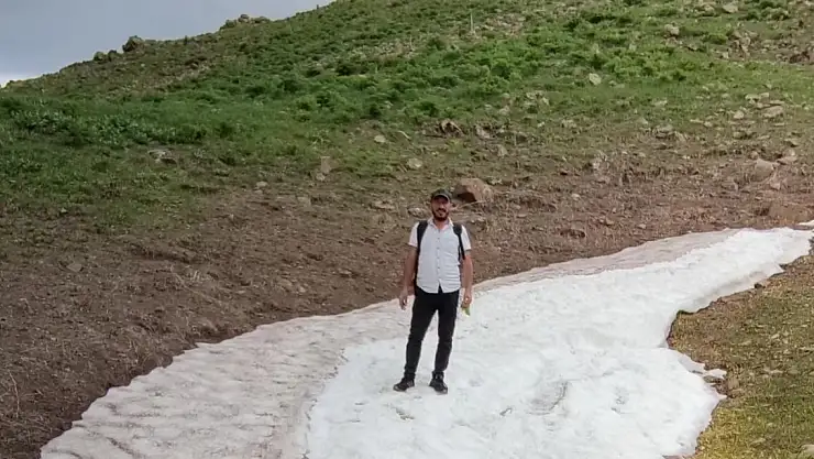 Şifalı otları toplamak için kilometrelerce yürüdüler