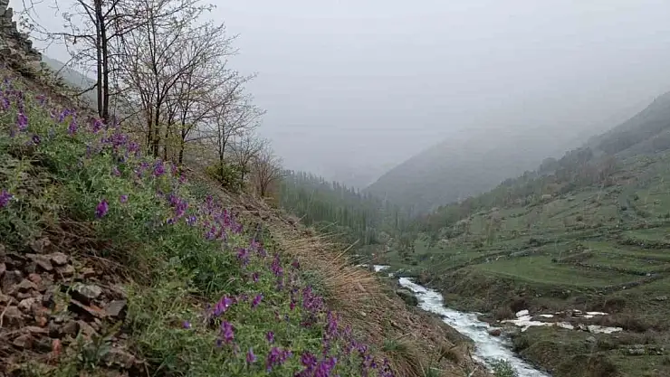 Erzurum'da mayıs ayında kar sürprizi