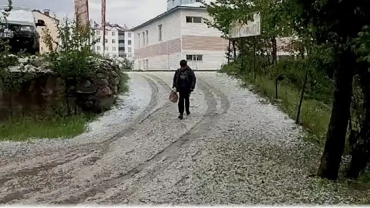 Hizan'da dolu yağışı hayatı olumsuz etkiledi