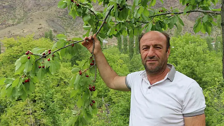 Erzurum'un dağlarını kar, bağlarını kiraz süslüyor