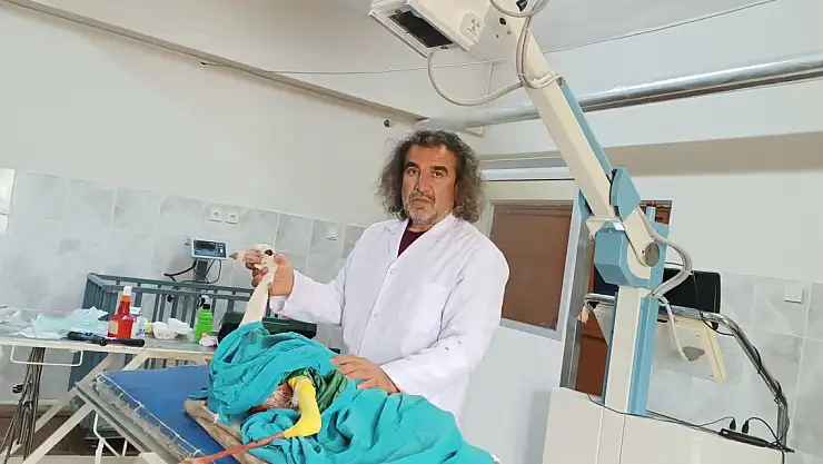 'Ağrı, göçmen kuşlarının geçiş güzergahı üzerinde yer alıyor'