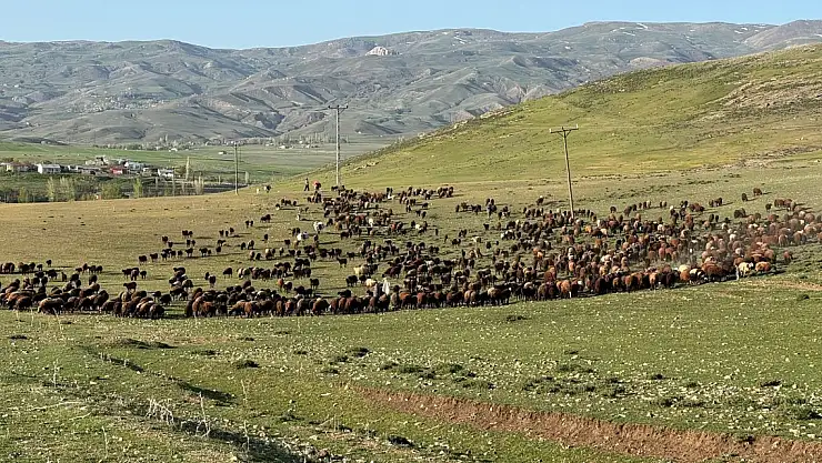 Günler süren yolculuğun ardından Ağrı'ya ulaştılar