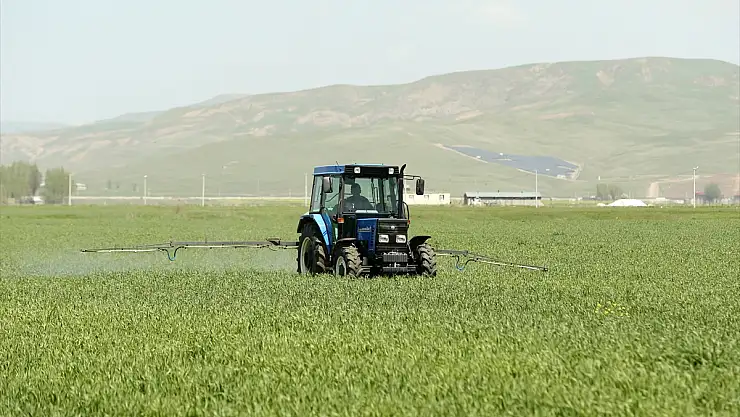 Bu yıl etkili olan yağışlar tarımda verim beklentisini yükseltti