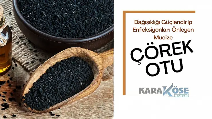 Bağışıklığı Güçlendirip Enfeksiyonları Önleyen Mucize: Çörek Otu