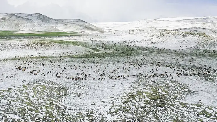 Ağrı yolunda göçerlere kar engeli