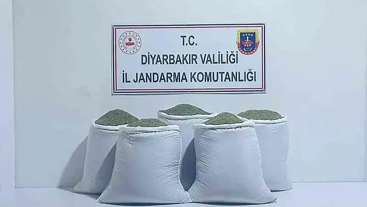 Diyarbakır'da 230 kilo toz esrar ele geçirildi
