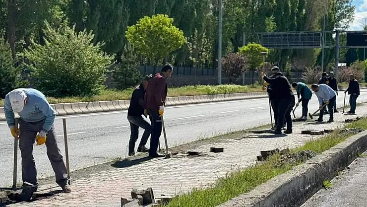 Patnos'ta tüm yol geçişleri yeşillendiriliyor