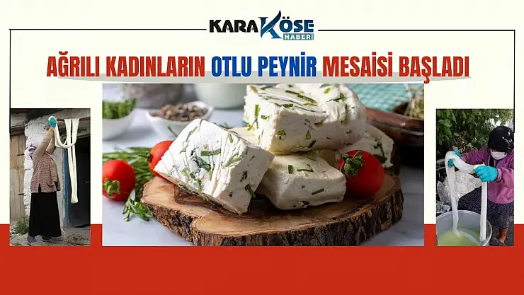 Ağrı'da Otlu Peynir Yapımı İçin Hazırlıklar Başladı