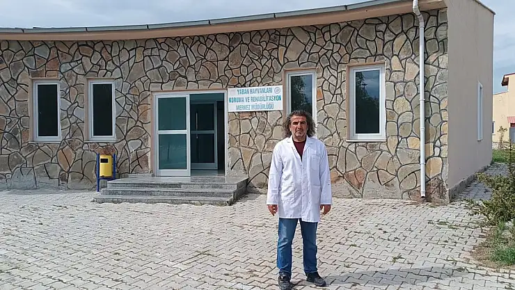 Yaban Hayatında Tehlike: Binlerce Tür Yok Olma Tehlikesi Altında