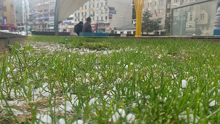 Erzurum'da dolu hayatı olumsuz etkiledi
