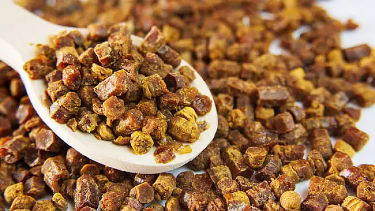 Arı Ekmeği (Perga) nedir, nerelerde kullanılır?