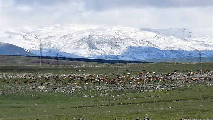 Kars'ta soğuk hava etkili oluyor