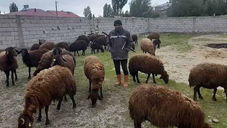Ağrı'da Çoban Eksikliği Çiftçileri Zorluyor