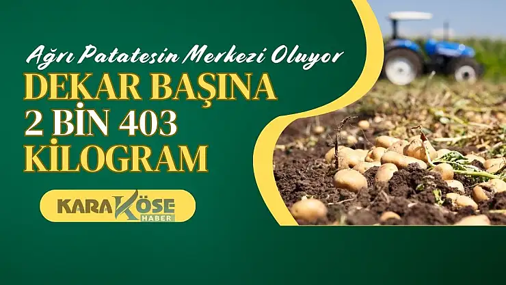 Ağrı Patatesin Merkezi Oluyor: Dekar Başına 2 bin 403 Kilogram