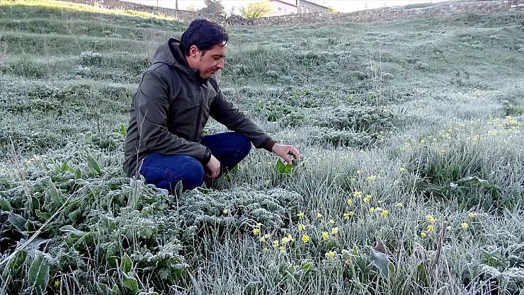 Kar yağışı ve soğuk hava Kars'ı bırakmıyor